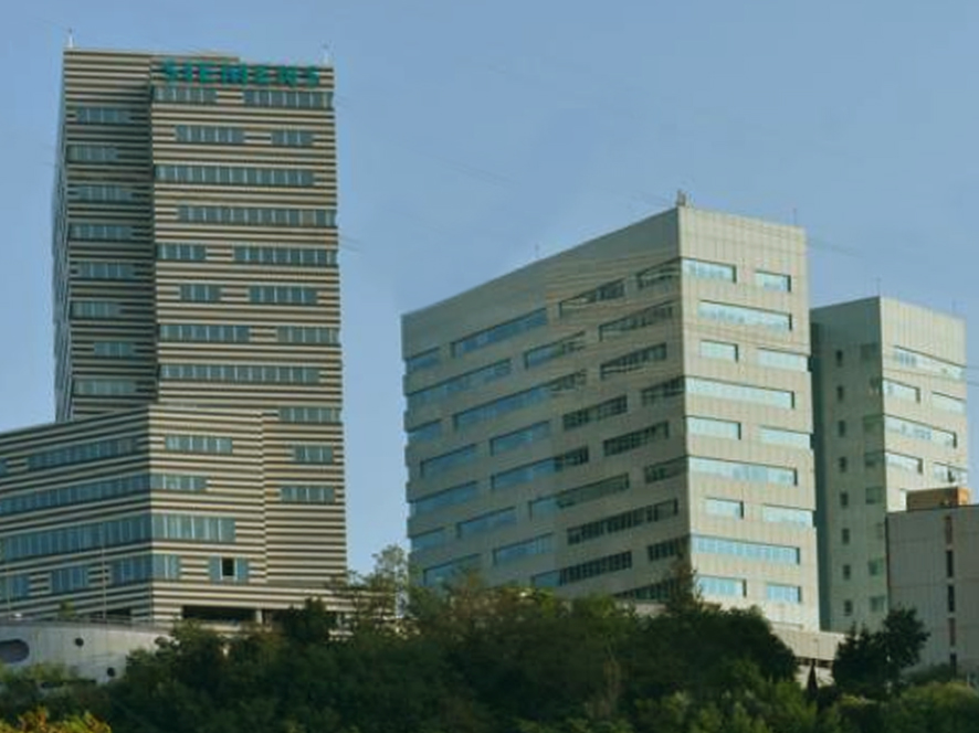 Erzelli
