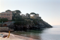 Nervi