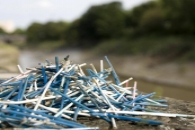Cotton fioc nelle spiagge