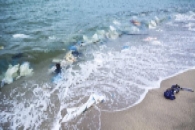 Plastiche in mare