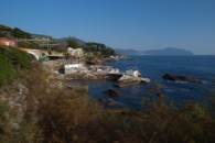 Nervi scogliera