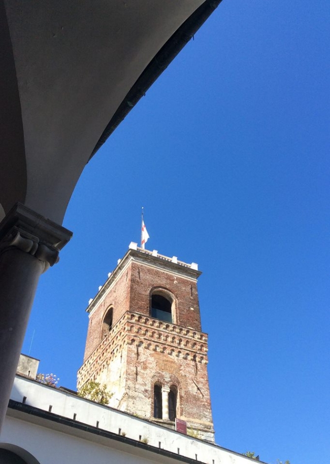 torre grimaldina