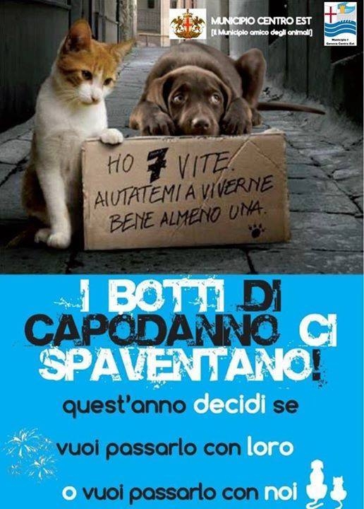 immagine campagna no botti municipio centro est