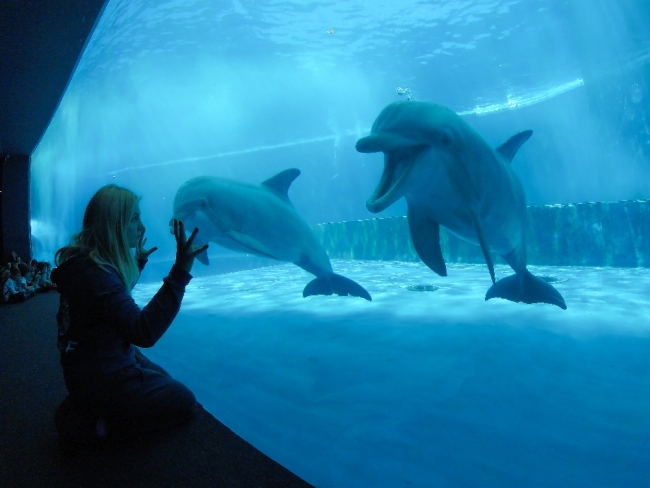Acquario di Genova nuovo percorso 