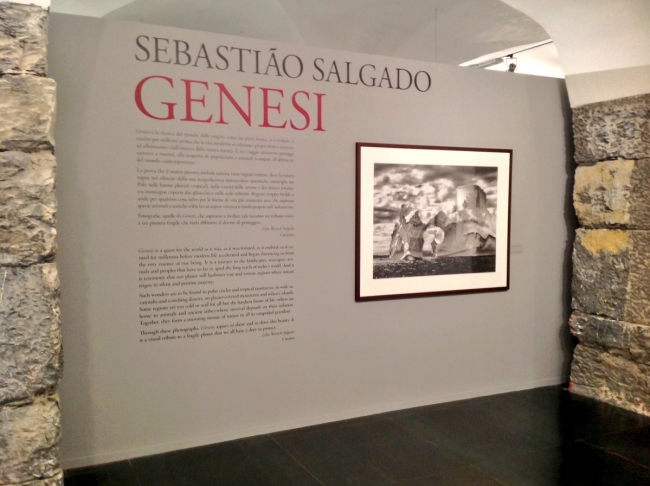 interno mostra salgado