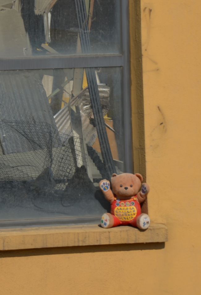 orsetto su finestra 