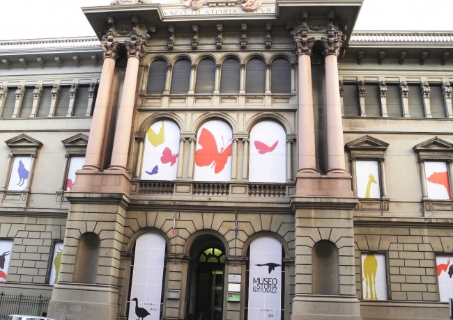 Museo di storia naturale Doria