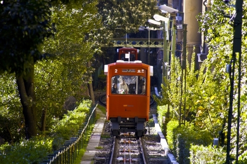 trenino nel verde