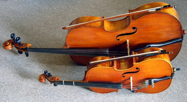 Violoncello e contrabbasso