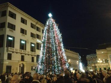 albero natale 2014