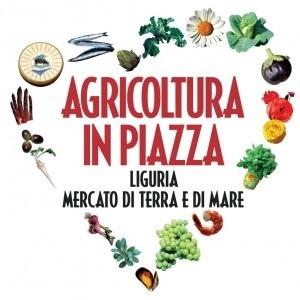 Testo Alternativo