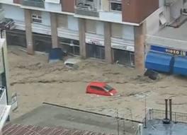 Testo Alternativo