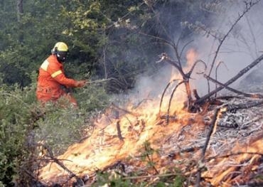 volontario che segne incendio boschivo