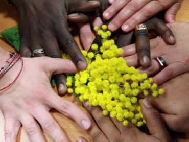 Mani di donna con mimosa