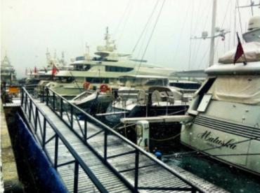 genova gelo