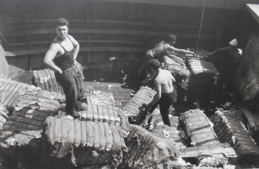 Il porto di Genova, 1964