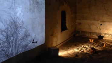 Immagine di un'installazione della mostra