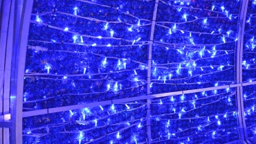 led blu