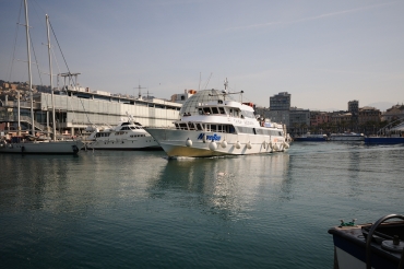 Navebus