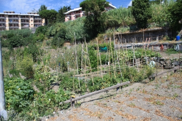 orti urbani a Sestri Ponente