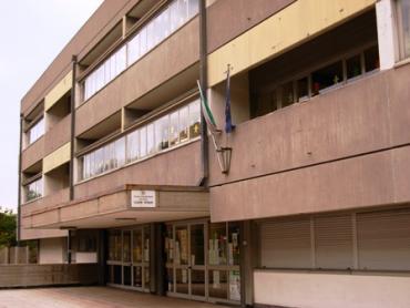 Testo Alternativo
