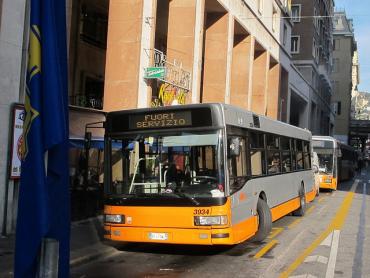 Testo Alternativo