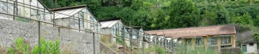 Serre di San Nicola