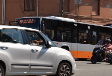 navetta Amt 