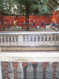 immagine galleria