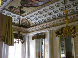 immagine galleria