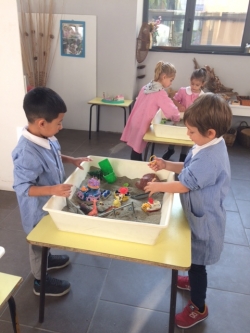 immagine galleria immagine galleria