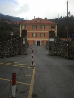 immagine galleria