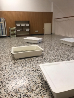 immagine galleria