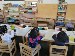 immagine galleria