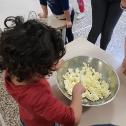 immagine galleria