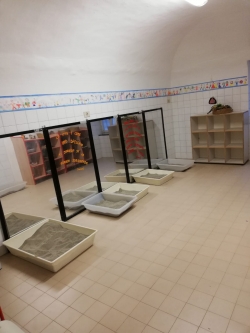 immagine galleria
