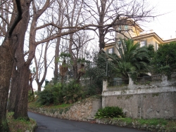 immagine galleria