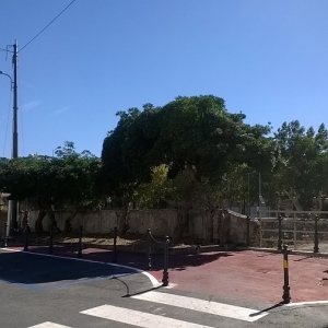 nuovo punto luce