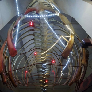immagine galleria