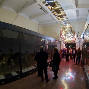 immagine galleria