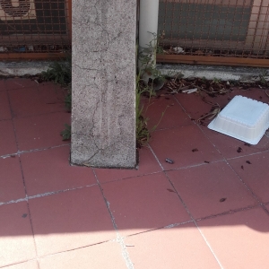 Colonna senza paraspigoli 