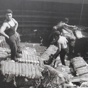 Il porto di Genova, 1964