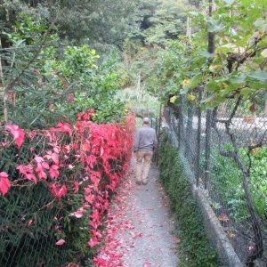 giardini Canepa