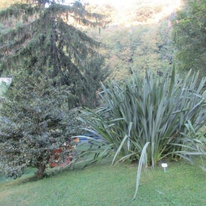 giardini Canepa