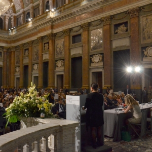 immagine galleria