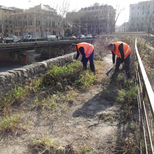 sfalcio vegetazione sul ponte