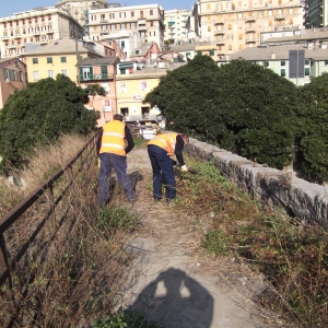 sfalcio vegetazione sul ponte