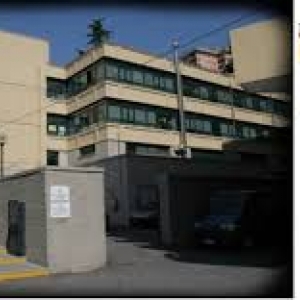 scuola D'Albertis