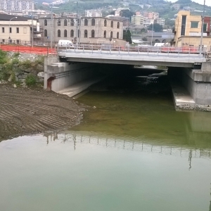 immagine galleria