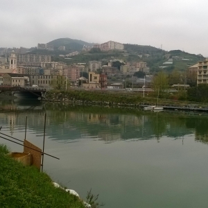 immagine galleria